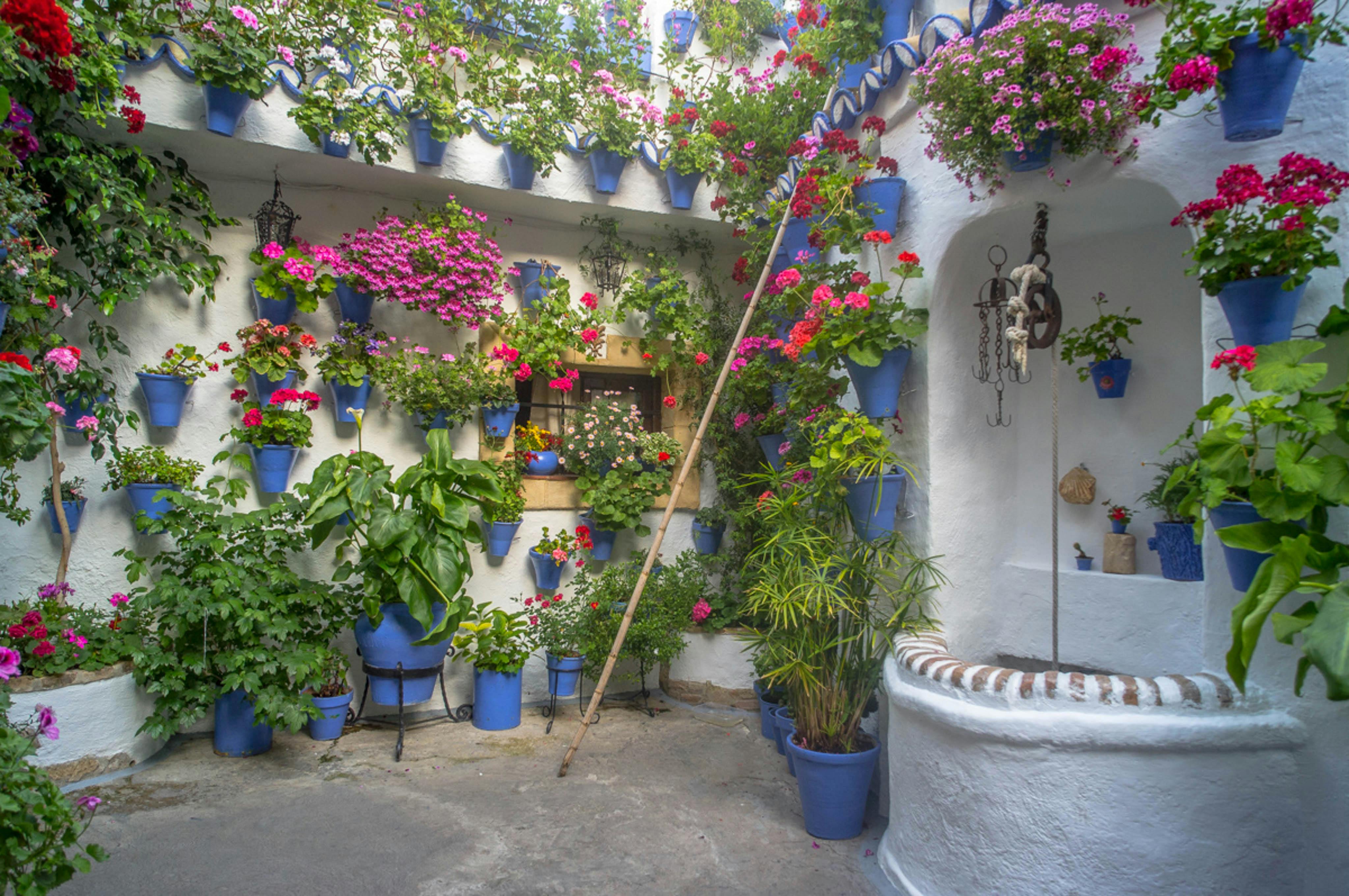 Guided tour of Cordoba's UNESCO Heritage Patios