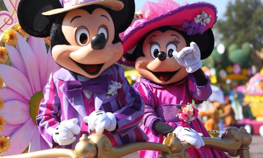 Entrada con fecha de 1 día Familia & Amigos para Disneyland® Paris