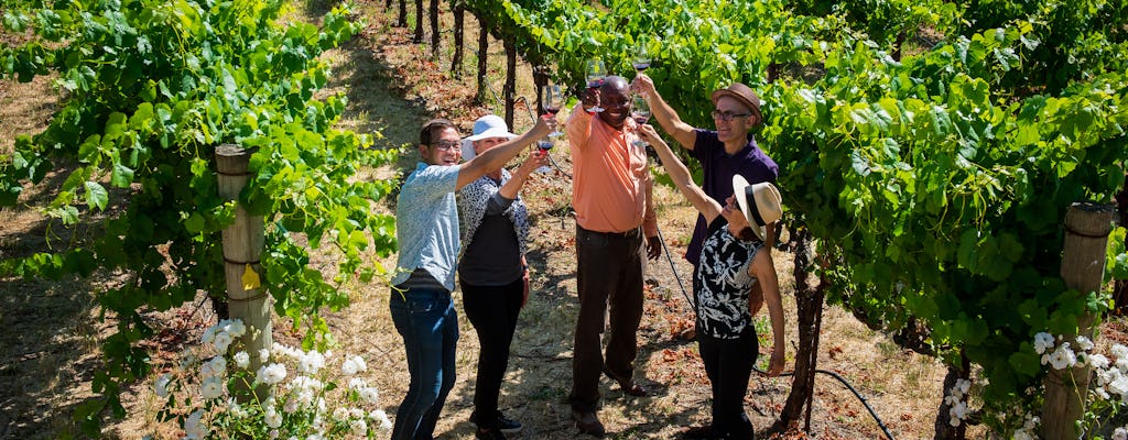 Napa Valley small-group wine tour
