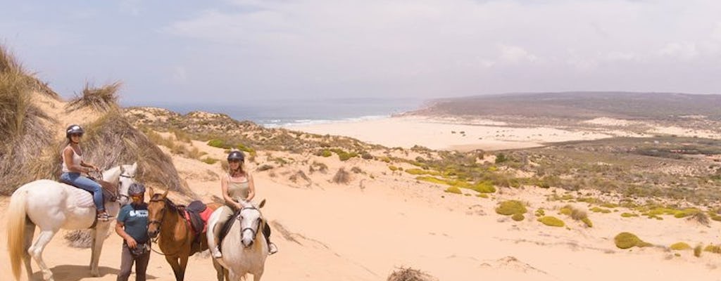 Découvrez le tour à cheval de Carrapateira