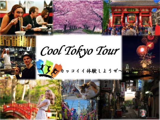 Tokyo privé stadstour van een halve dag met een local