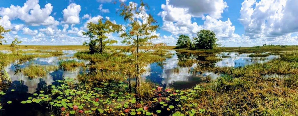 Caminata por la naturaleza del Parque Nacional Everglades y paseo en bote aéreo
