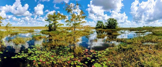 Passeggiata nella natura del Parco nazionale delle Everglades e giro in air boat