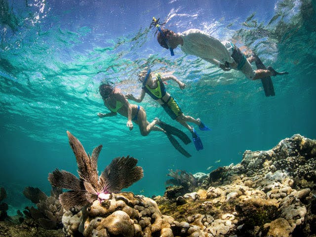 Eco-avventura marina delle Florida Keys