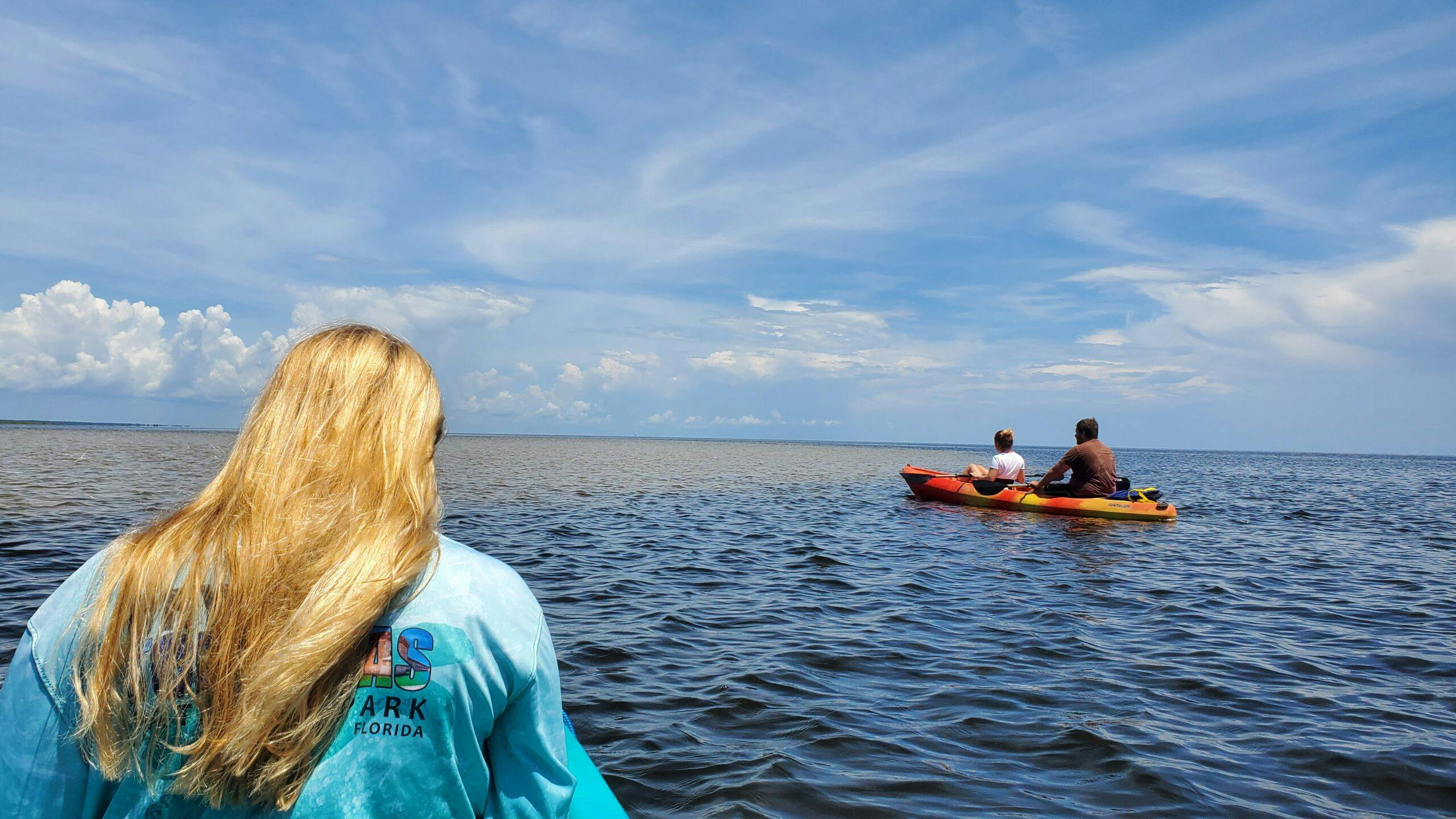 Full day hiking and paddling tour in Everglades National Park Musement