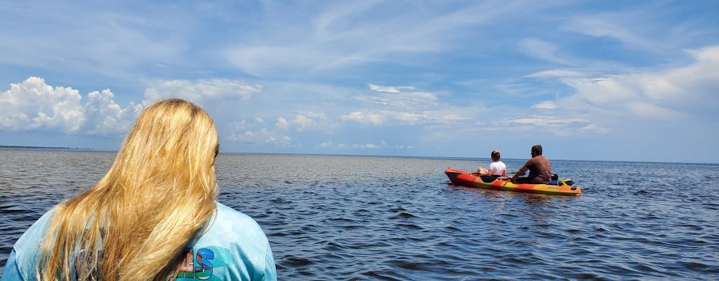 Full-day hiking and paddling tour in Everglades National Park