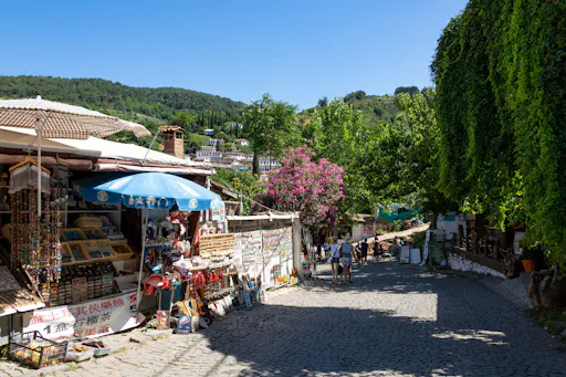 Ephesus & Sirince Small Group Tour