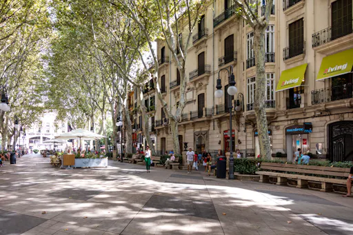 Palma Walking Tour and Boat Cruise