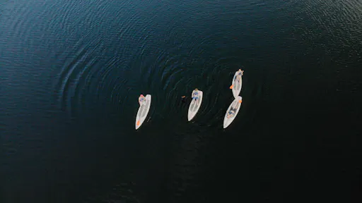 20210902613097cf44af7.jpg