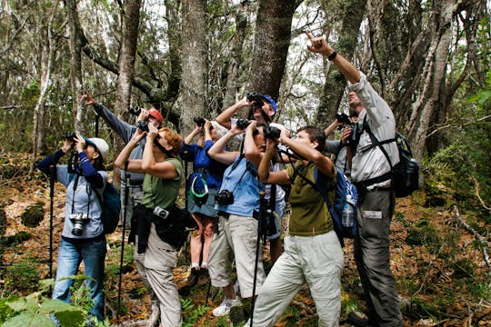 Nature tour of Hakalau Forest Reserve