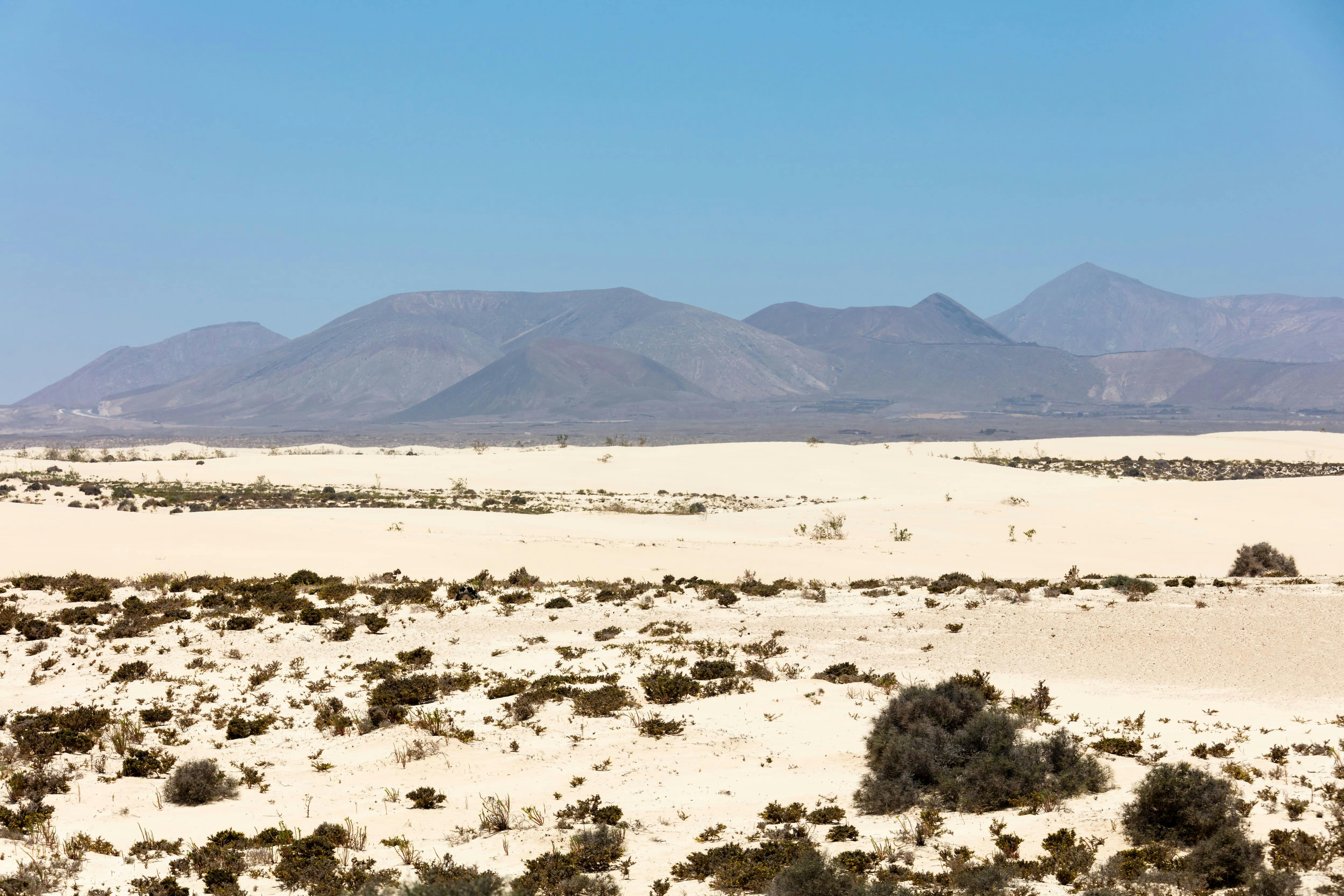 Fuerteventura Sand Dunes Visit Ticket Only