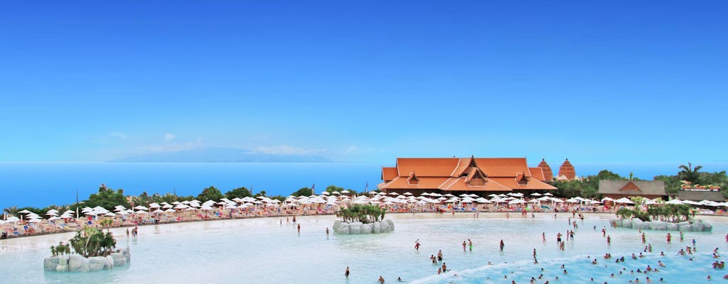 Transfer vom Los Gigantes Gebiet oder Golf del Sur zum Siam Park und mehr