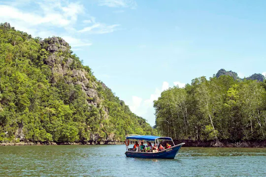 Cruzeiro de meio dia no rio mangue de Langkawi