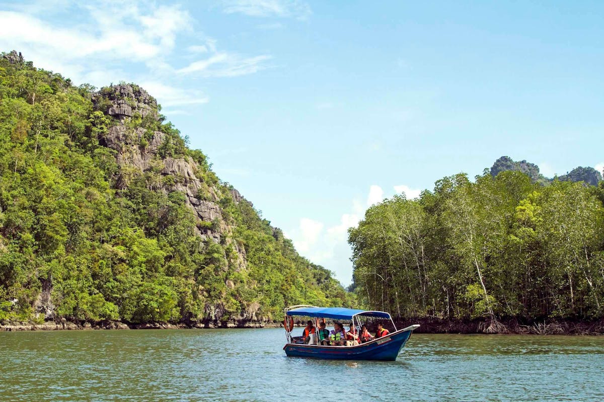 Langkawi mangrove rivier cruise halve dag ervaring