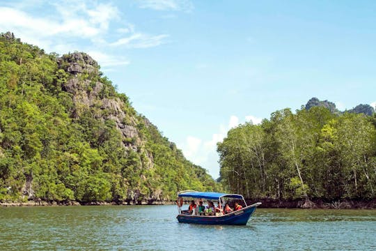Experiência de meio dia em cruzeiro pelo manguezal em Langkawi