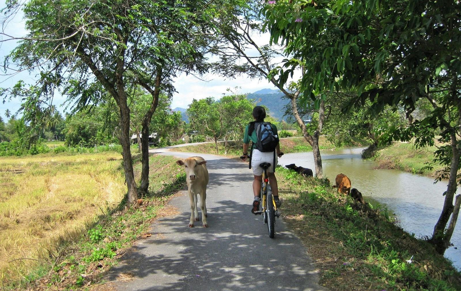Abends mit dem Fahrrad die Naturpfade von Langkawi erkunden