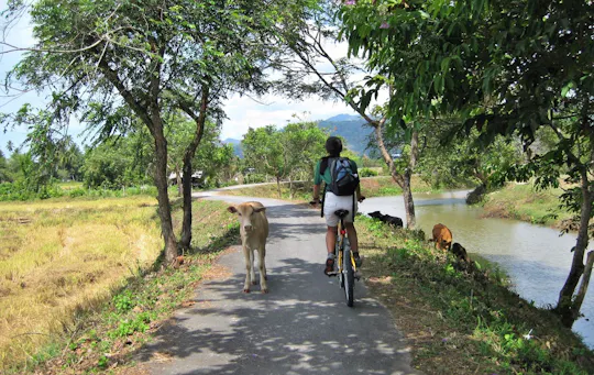 Passeio noturno de bicicleta pelos trilhos naturais de Langkawi