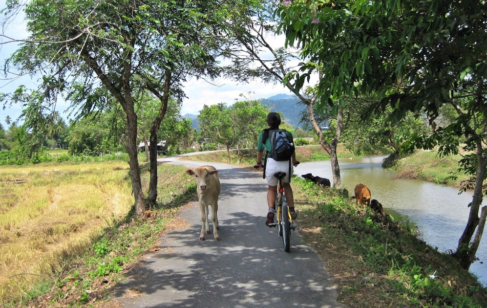 Hiking & bike tours in Langkawi  musement