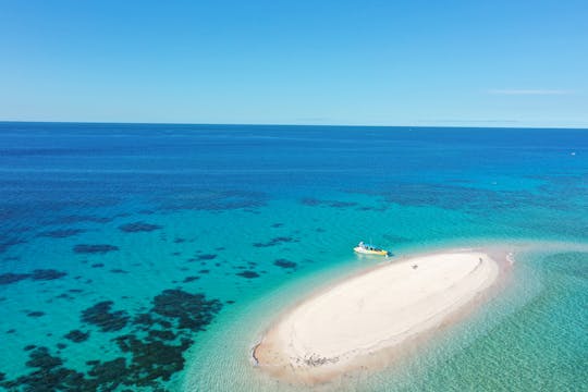 Tour della Grande Barriera Corallina e pacchetto turistico delle Isole Whitsundays