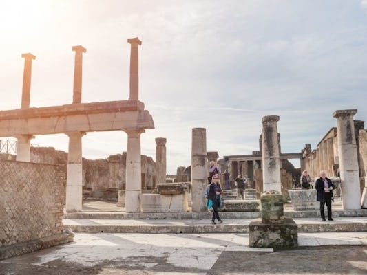 Visita guiada a Nápoles e Pompeia saindo de Roma