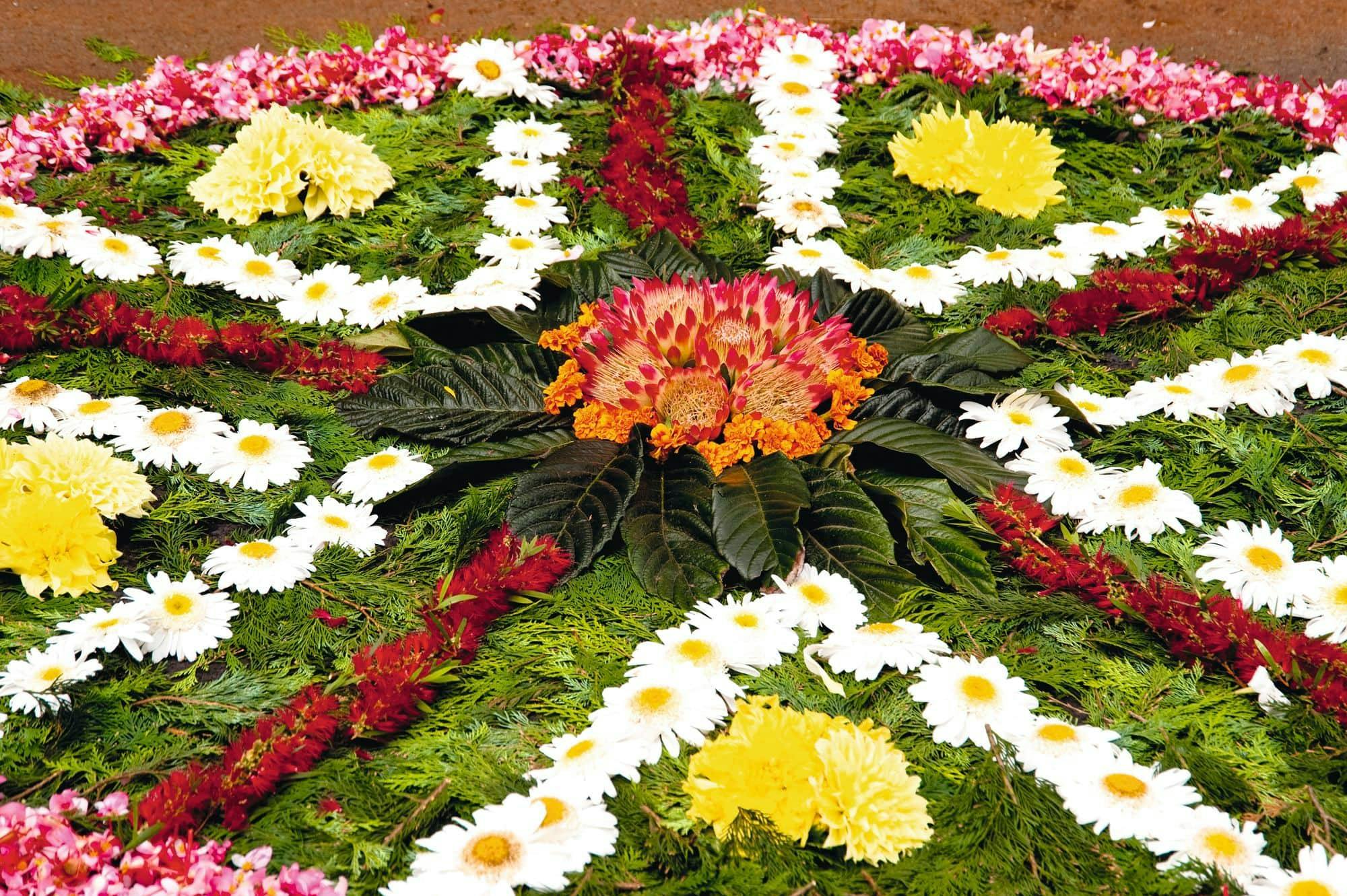 Funchal Flower Festival Parade Transfer