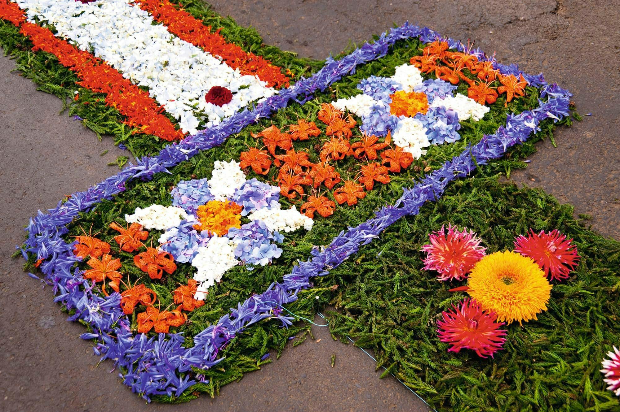 Transfert pour le défilé du festival des fleurs de Funchal