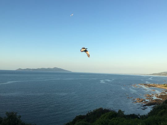 Passeio panorâmico pela Costa Kapiti com almoço