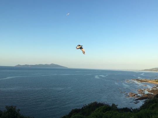 Scenic Kapiti Coast tour with lunch