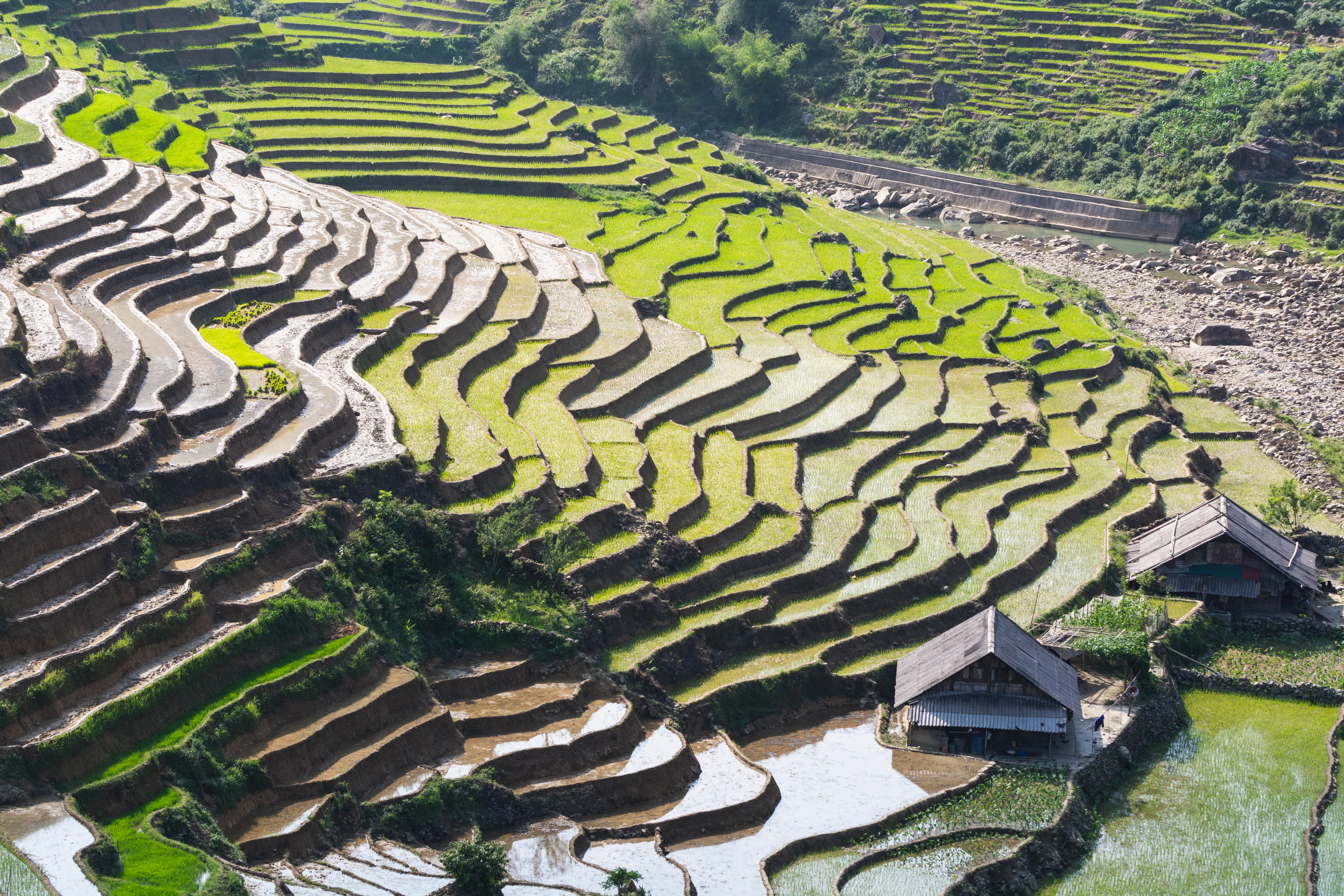 Lao Cai