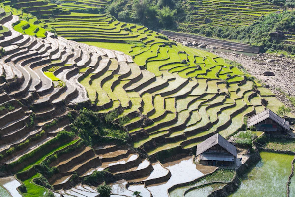 Lao Cai, Vietnã