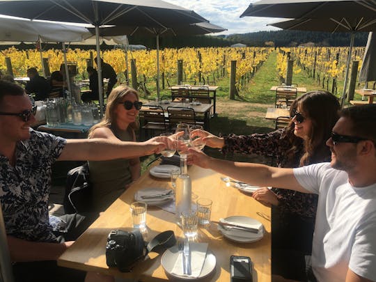 Excursão privada Martinborough Wine Delights com almoço