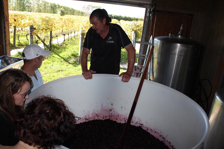 Martinborough Wine Delights private tour with lunch