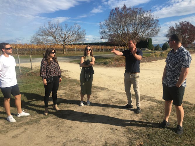 Martinborough Wine Delights private tour with lunch