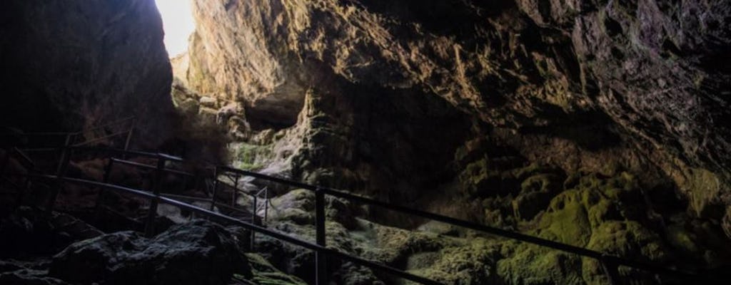 Индивидуальная экскурсия в пещеру Зевса и Кносский дворец от Лассити