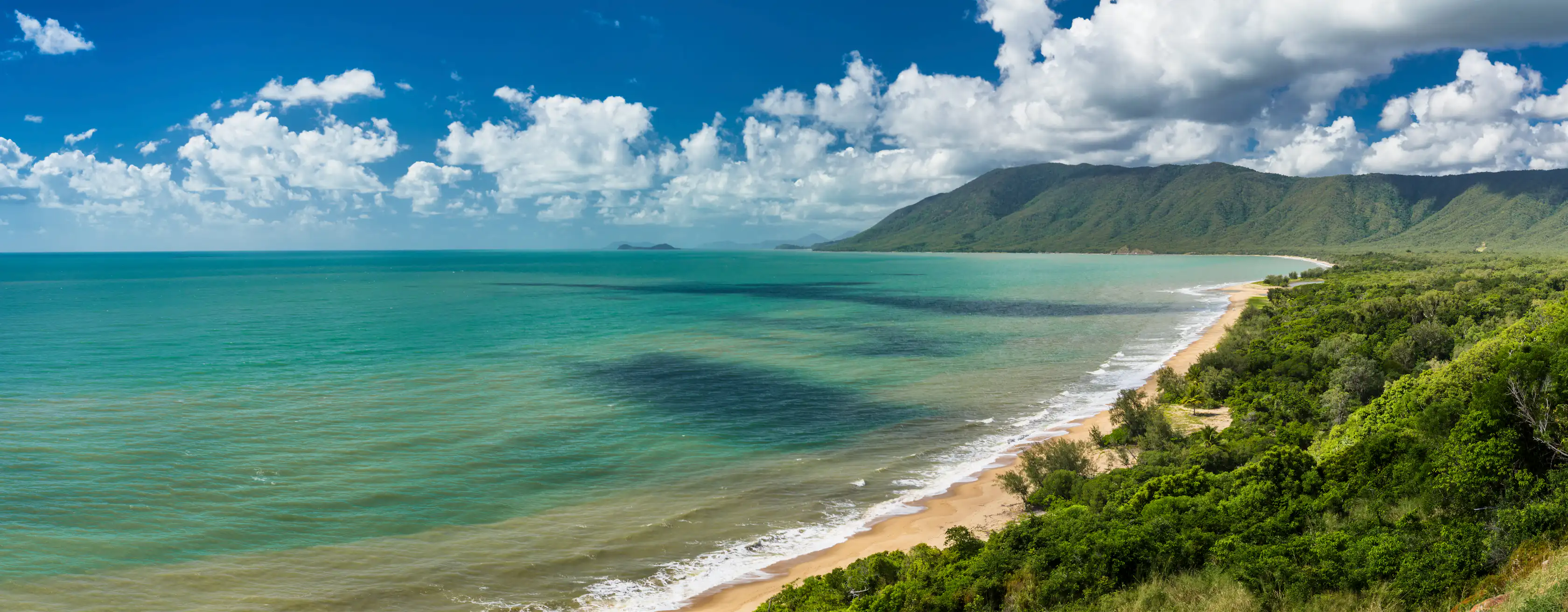 Activités à Cape Tribulation