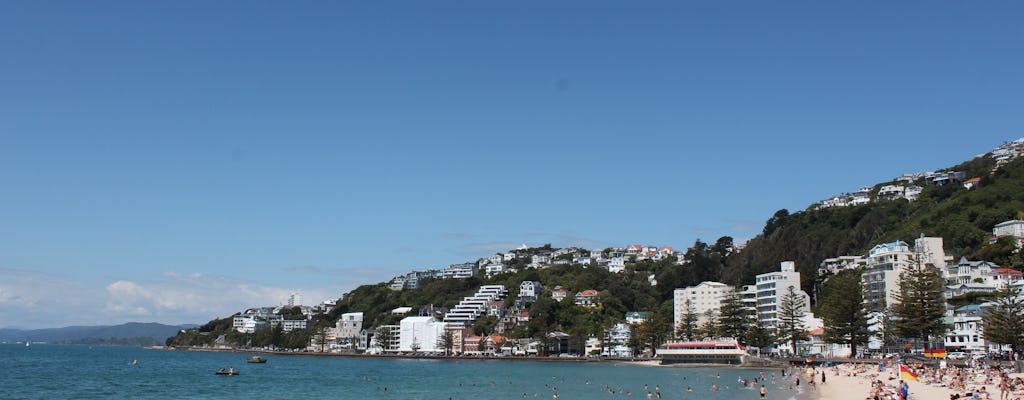 Visite privée d'une demi-journée panoramique à Wellington