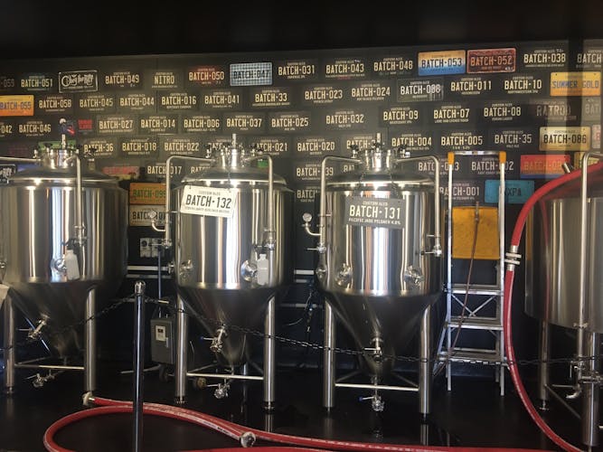 Wellington craft beer private tour with lunch