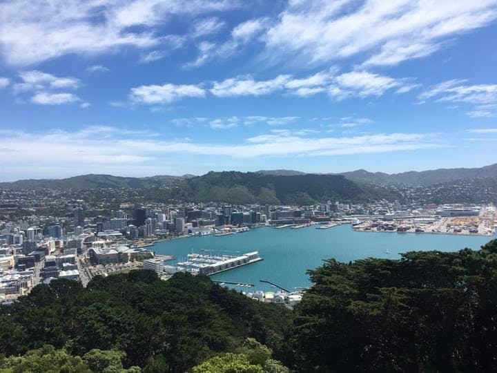 Wellington scenic full day private tour with lunch Musement