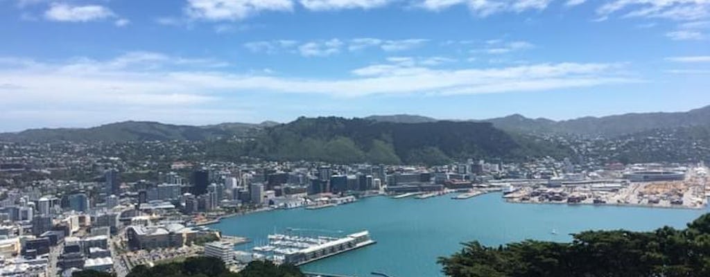 Wellington Scenic full-day private tour with lunch