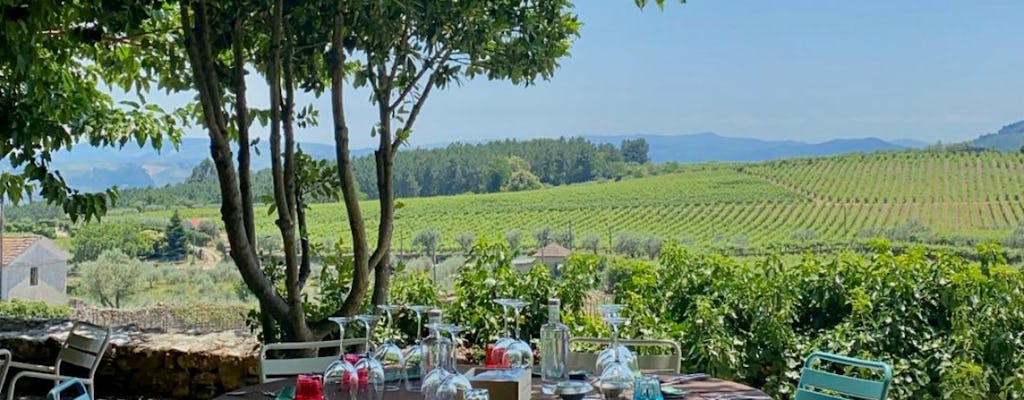 Visite viticole d'une journée complète de la vallée du Douro