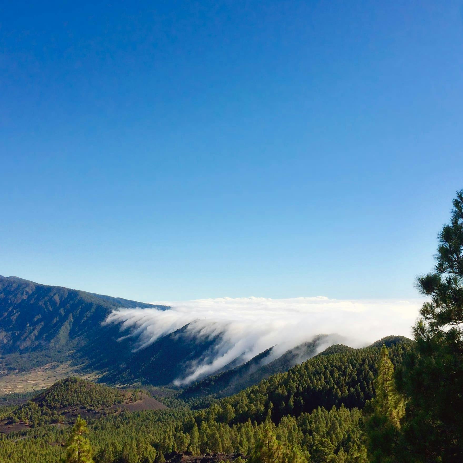 La Palma Volcano Route Hike with Transfer