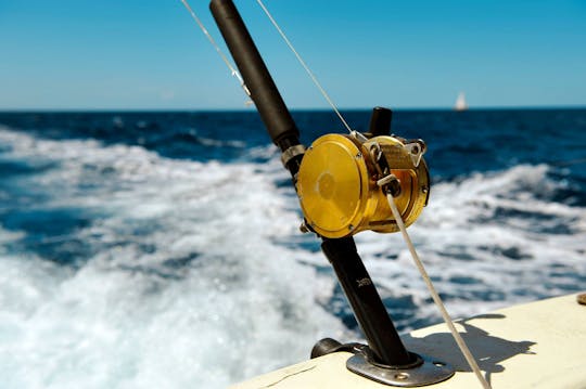 Croisière de pêche sportive à Mahi Mahi