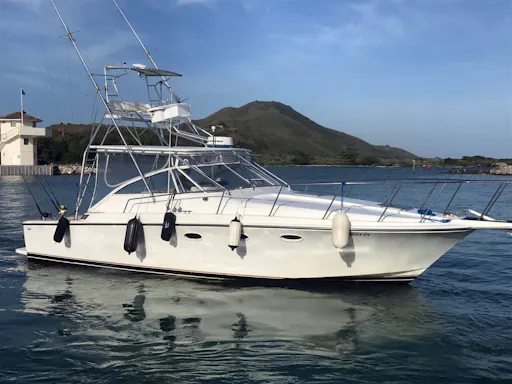 Mahi Mahi Sport Fishing Cruise