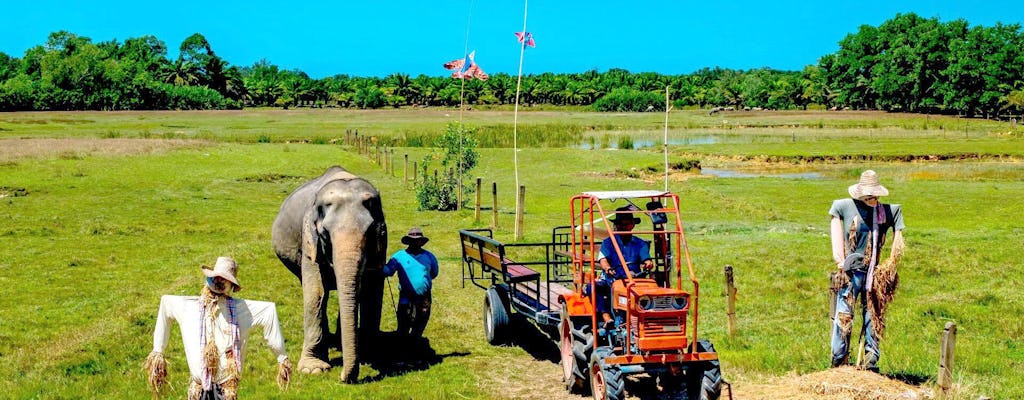 Visite de la maison de retraite des éléphants de Napor