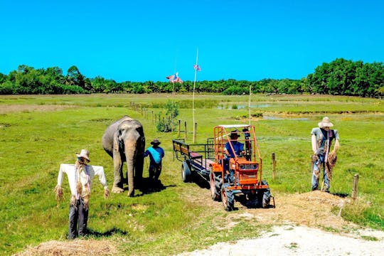 Visite de la maison de retraite des éléphants de Napor