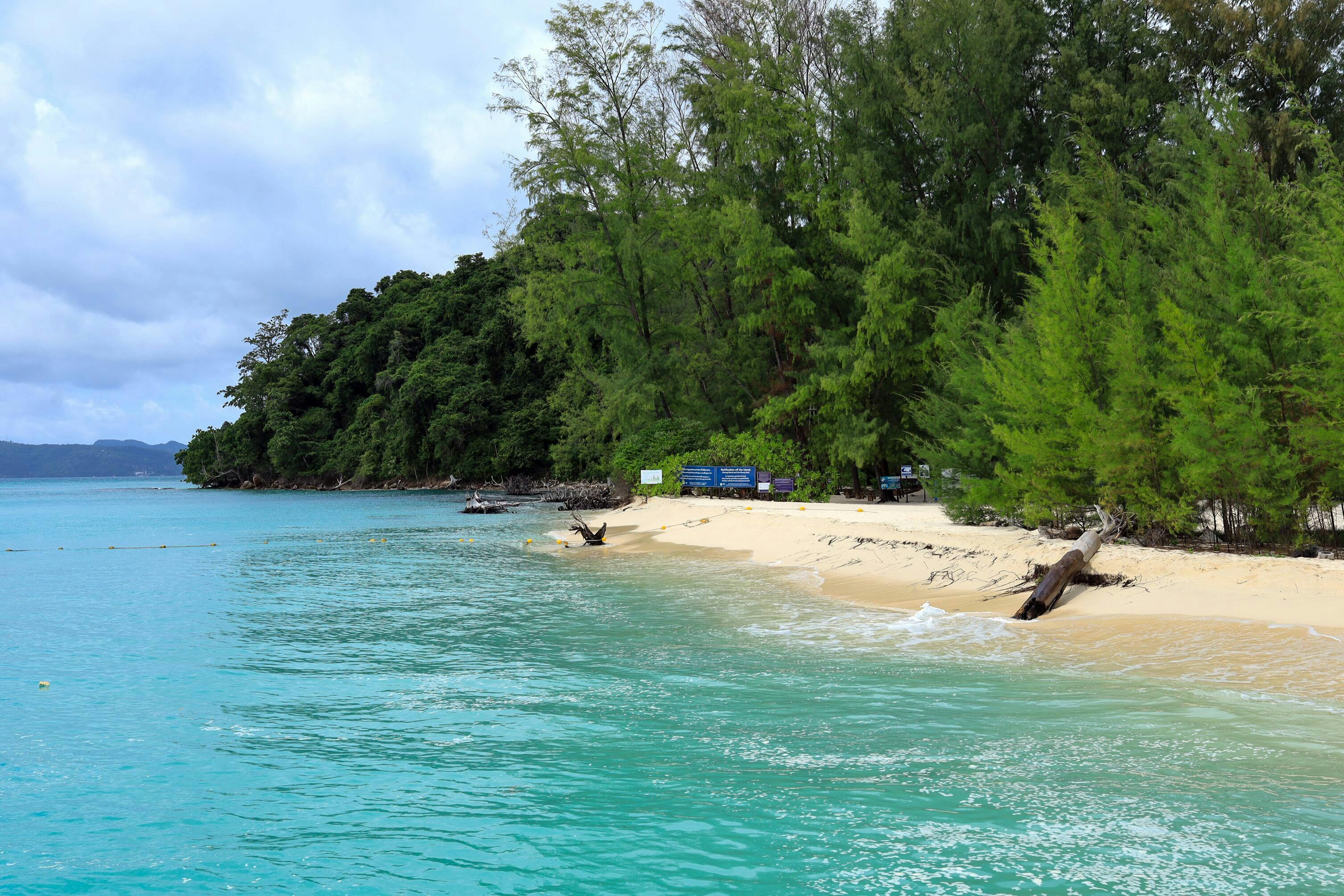 Phi Phi Islands & Pileh Lagoon Speedboat Tour