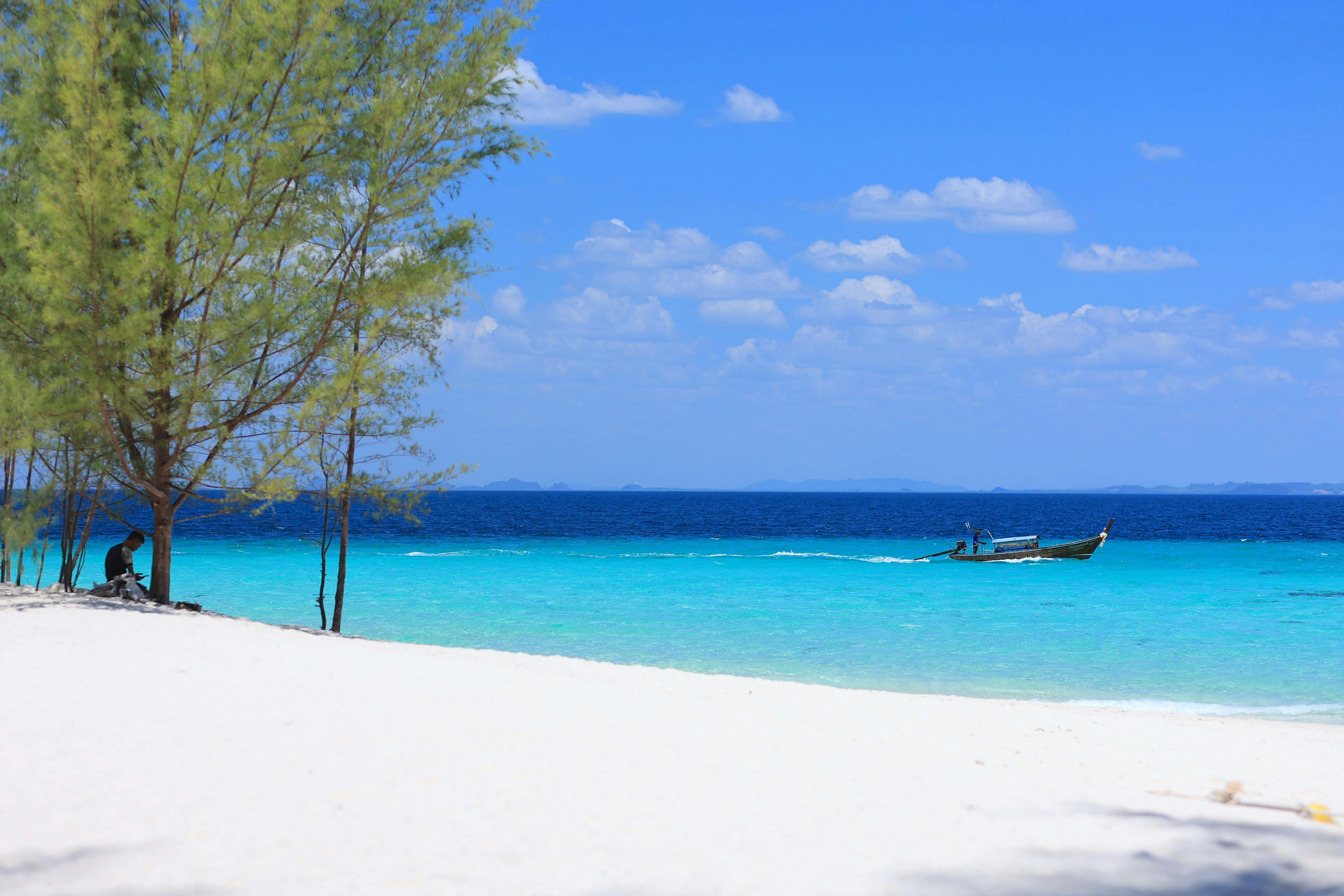 Phi Phi Islands & Pileh Lagoon Speedboat Tour