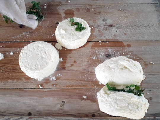 Halloumi Making Workshop & Troodos Mountain Small Group Tour