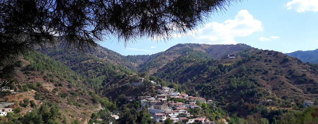 Visite en petit groupe des villages et délices des montagnes du Troodos