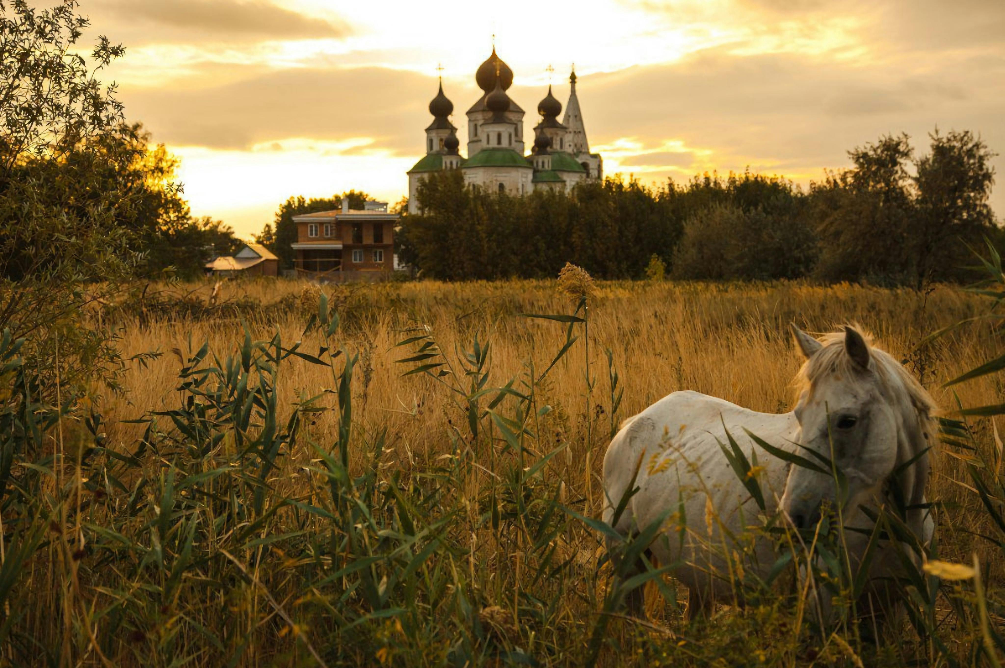 Don Cossacks in Starocherkasskaya private guided tour